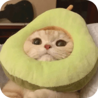 4点半官方直播APP应用